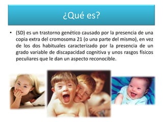 ¿Qué es?
• (SD) es un trastorno genético causado por la presencia de una
  copia extra del cromosoma 21 (o una parte del mismo), en vez
  de los dos habituales caracterizado por la presencia de un
  grado variable de discapacidad cognitiva y unos rasgos físicos
  peculiares que le dan un aspecto reconocible.
 