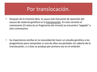 Por translocación.
• Después de la trisomía libre, la causa más frecuente de aparición del
  exceso de material genético es la translocación. En esta variante el
  cromosoma 21 extra (o un fragmento del mismo) se encuentra “pegado” a
  otro cromosoma.



• Su importancia estriba en la necesidad de hacer un estudio genético a los
  progenitores para comprobar si uno de ellos era portador sin saberlo de la
  translocación, o si ésta se produjo por primera vez en el embrión
 