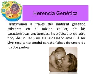 Herencia Genética
 Transmisión a través del material genético
existente en el núcleo celular, de las
características anatómicas, fisiológicas o de otro
tipo, de un ser vivo a sus descendientes. El ser
vivo resultante tendrá características de uno o de
los dos padres
 