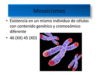Mosaicismos
• Existencia en un mismo individuo de células
  con contenido genético y cromosómico
  diferente
• 46 (XX) 45 (XO)
 