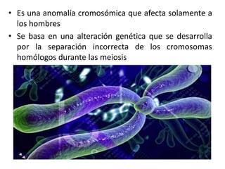 • Es una anomalía cromosómica que afecta solamente a
  los hombres
• Se basa en una alteración genética que se desarrolla
  por la separación incorrecta de los cromosomas
  homólogos durante las meiosis
 