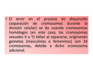 • El error en el proceso de disyunción
  (separación de cromosomas durante la
  división celular) se da cuando cromosomas
  homólogos (en este caso, los cromosomas
  sexuales X e Y) fallan al separarse, originando
  gametos (masculinos o femeninos) con 24
  cromosomas, debido a dicho cromosoma
  adicional.
 