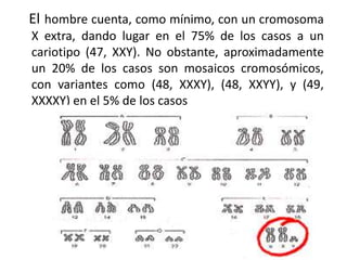 El hombre cuenta, como mínimo, con un cromosoma
X extra, dando lugar en el 75% de los casos a un
cariotipo (47, XXY). No obstante, aproximadamente
un 20% de los casos son mosaicos cromosómicos,
con variantes como (48, XXXY), (48, XXYY), y (49,
XXXXY) en el 5% de los casos
 