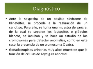 Diagnóstico
• Ante la sospecha de un posible síndrome de
  Klinefelter, se procede a la realización de un
  cariotipo. Para ello, se toma una muestra de sangre,
  de la cual se separan los leucocitos o glóbulos
  blancos, se incuban y se hace un estudio de los
  cromosomas para detectar anomalías, como en este
  caso, la presencia de un cromosoma X extra.
• Gonadotropinas urinarias muy altos muestran que la
  función de células de Leydig es anormal
 