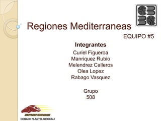 Regiones Mediterraneas
EQUIPO #5
Integrantes
Curiel Figueroa
Manriquez Rubio
Melendrez Calleros
Olea Lopez
Rabago Vasquez
Grupo
508

 