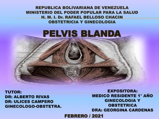 REPUBLICA BOLIVARIANA DE VENEZUELA
MINISTERIO DEL PODER POPULAR PARA LA SALUD
H. M. I. Dr. RAFAEL BELLOSO CHACIN
OBSTETRICIA Y GINECOLOGIA
EXPOSITORA:
MEDICO RESIDENTE 1° AÑO
GINECOLOGIA Y
OBSTETRICA
DRA: GEORGINA CARDENAS
TUTOR:
DR: ALBERTO RIVAS
DR: ULICES CAMPERO
GINECOLOGO-OBSTETRA.
PELVIS BLANDA
FEBRERO / 2021
 