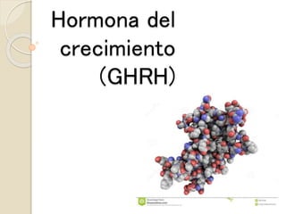 Hormona del
crecimiento
(GHRH)
 