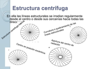 Estructura centrífuga <br />En ella las líneas estructurales se irradian regularmente desde el centro o desde sus cercanía...