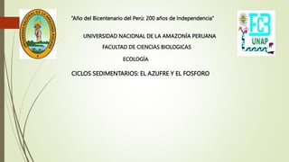 “Año del Bicentenario del Perú: 200 años de Independencia”
UNIVERSIDAD NACIONAL DE LA AMAZONÍA PERUANA
FACULTAD DE CIENCIAS BIOLOGICAS
ECOLOGÍA
CICLOS SEDIMENTARIOS: EL AZUFRE Y EL FOSFORO
 