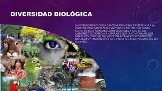 LA DIVERSIDAD BIOLÓGICA O BIODIVERSIDAD HACE REFERENCIA A LA
INMENSA VARIEDAD DE SERES VIVOS QUE EXISTEN EN LA TIERRA,
TANTO ESPECIES ANIMALES COMO VEGETALES, Y A SU MEDIO
AMBIENTE Y LOS PATRONES NATURALES QUE LA CONFORMAN, QUE
SON EL RESULTADO DE LA EVOLUCIÓN A TRAVÉS DE LOS PROCESOS
NATURALES Y TAMBIÉN DE LA INFLUENCIA DE LAS ACTIVIDADES DEL SER
HUMANO.
 
