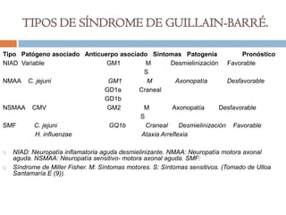 TIPOS DE SÍNDROME DE GUILLAIN-BARRÉ.

Tipo Patógeno asociado Anticuerpo asociado Síntomas Patogenia               Pronóstico
NIAD Variable                 GM1         M        Desmielinización Favorable
                                          S
NMAA C. jejuni                GM1          M          Axonopatía       Desfavorable
                             GD1a       Craneal
                             GD1b
NSMAA CMV                     GM2         M         Axonopatía       Desfavorable
                                        S
SMF      C. jejuni            GQ1b        Craneal      Desmielinización Favorable
          H. influenzae                  Ataxia Arreflexia

   NIAD: Neuropatía inflamatoria aguda desmielinizante. NMAA: Neuropatía motora axonal
    aguda. NSMAA: Neuropatía sensitivo- motora axonal aguda. SMF:
   Síndrome de Miller Fisher. M: Síntomas motores. S: Síntomas sensitivos. (Tomado de Ulloa
    Santamaría E (9)).
 