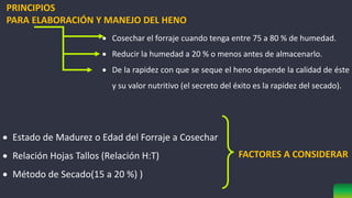 PRINCIPIOS
PARA ELABORACIÓN Y MANEJO DEL HENO
 Cosechar el forraje cuando tenga entre 75 a 80 % de humedad.
 Reducir la humedad a 20 % o menos antes de almacenarlo.
 De la rapidez con que se seque el heno depende la calidad de éste
y su valor nutritivo (el secreto del éxito es la rapidez del secado).
FACTORES A CONSIDERAR
 Estado de Madurez o Edad del Forraje a Cosechar
 Relación Hojas Tallos (Relación H:T)
 Método de Secado(15 a 20 %) )
 