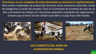 11
Para hacer un uso completo de estos elementos es necesaria la suplementación
Para niveles moderados de producción de leche serán necesarios afrechillo, tortas
de oleaginosas y restos de cereales. Para el crecimiento de animales de más de un
año y de bueyes de trabajo son necesarias pequeñas cantidades de suplementos
siempre que el heno sea de calidad razonable y la paja haya sido tratada
USO CORRECTO DEL HENO EN
ALIMENTACION ANIMAL
 