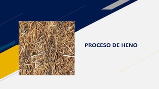 PROCESO DE HENO
 