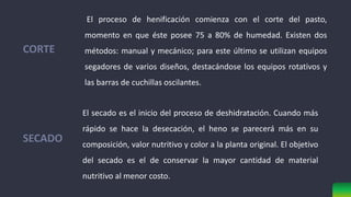 CORTE
El proceso de henificación comienza con el corte del pasto,
momento en que éste posee 75 a 80% de humedad. Existen dos
métodos: manual y mecánico; para este último se utilizan equipos
segadores de varios diseños, destacándose los equipos rotativos y
las barras de cuchillas oscilantes.
El secado es el inicio del proceso de deshidratación. Cuando más
rápido se hace la desecación, el heno se parecerá más en su
composición, valor nutritivo y color a la planta original. El objetivo
del secado es el de conservar la mayor cantidad de material
nutritivo al menor costo.
SECADO
 