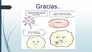 Gracias…
 
