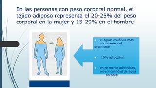 En las personas con peso corporal normal, el
tejido adiposo representa el 20-25% del peso
corporal en la mujer y 15-20% en el hombre
● el agua: molécula mas
abundante del
organismo
● 10% adipocitos
● entre menor adiposidad,
mayor cantidad de agua
corporal
 