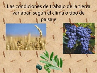 Las condiciones de trabajo de la tierra 
variaban según el clima o tipo de 
paisaje 
 