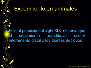 Experimento en anímales
• •
• Fox, al principio del siglo XIX, observo que
el crecimiento mandibular ocurre
interamente distal a los dientes deciduos
 