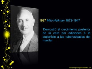 1927 Milo Hellman 1872-1947
Demostró el crecimiento posterior
de la cara por adiciones a la
superficie a las tuberosidades del
maxilar
 