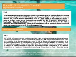 EL MANEJO DE LOS MAMIFEROS MARINOS Legislaciones nacionales acuerdos internacionales EI Plan de Acci6n para fa Protecci6n del Medio Marino y Áreas Costeras del Pacífico Sudeste (PA/PSE)  y su Convencl6n Regional . Convencion Internacional para Ia Regulaci6n de Ia Caza de Ballenas (ICRW), 