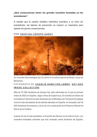 ¿Qué consecuencias tienen los grandes incendios forestales en los
ecosistemas?
A medida que el cambio climático intensifica incendios a un ritmo sin
precedentes, las labores de prevención se vuelven un imperativo para
aplacar las graves consecuencias.
P O R C R I S T I N A C R E S P O G A R A Y
Un incendio hace estragos por la noche en la selva tropical de Brasil, cerca de
Maranhao.
F O T O G R A F Í A D E C H A R L I E H A M I L T O N J A M E S , N A T G E O
I M A G E C O L L E C T I O N
Más de 75 000 hectáreas de bosque han sido calcinadas en lo que la primera
mitad de 2022 en España, según cifras de Copernicus. El incendio de Sierra de
la Culebra en Zamora ha sido declarado por el Ministerio de Transición Ecológica
como el más devastador de las últimas décadas en España: ha arrasado casi 30
000 hectáreas de bosques y cerca de una cuarta parte de la Reserva Natural de
Sierra de la Culebra.
A pesar de ser el más desolador, el incendio de Zamora no ha sido el único. Los
incendios forestales recientes que han arrasado varios territorios de España,
 