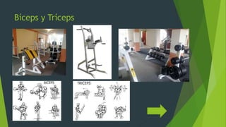 Bíceps y Tríceps
 