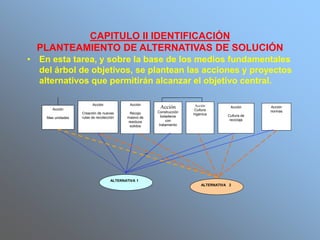 CAPITULO II IDENTIFICACIÓN
PLANTEAMIENTO DE ALTERNATIVAS DE SOLUCIÓN
• En esta tarea, y sobre la base de los medios fundamentales
del árbol de objetivos, se plantean las acciones y proyectos
alternativos que permitirán alcanzar el objetivo central.
Acción
Creación de nuevas
rutas de recolección
Acción
Cultura de
reciclaje
Acción
normas
Acción
Construcción
botaderos
con
tratamiento
ALTERNATIVA 1
ALTERNATIVA 2
Acción
Recojo
masivo de
residuos
solidos
Acción
Cultura
higenica
Acción
Mas unidades
 
