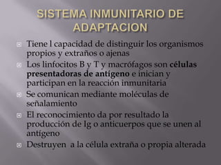  Tiene l capacidad de distinguir los organismos
propios y extraños o ajenas
 Los linfocitos B y T y macrófagos son células
presentadoras de antígeno e inician y
participan en la reacción inmunitaria
 Se comunican mediante moléculas de
señalamiento
 El reconocimiento da por resultado la
producción de Ig o anticuerpos que se unen al
antígeno
 Destruyen a la célula extraña o propia alterada
 