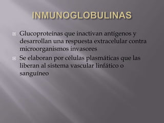  Glucoproteínas que inactivan antígenos y
desarrollan una respuesta extracelular contra
microorganismos invasores
 Se elaboran por células plasmáticas que las
liberan al sistema vascular linfático o
sanguíneo
 
