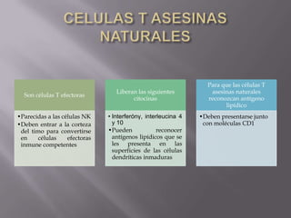 Son células T efectoras
•Parecidas a las células NK
•Deben entrar a la corteza
del timo para convertirse
en células efectoras
inmune competentes
Liberan las siguientes
citocinas
• Interferónγ, interleucina 4
y 10
•Pueden reconocer
antígenos lipídicos que se
les presenta en las
superficies de las células
dendríticas inmaduras
Para que las células T
asesinas naturales
reconozcan antígeno
lipídico
•Deben presentarse junto
con moléculas CD1
 