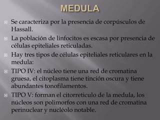  Se caracteriza por la presencia de corpúsculos de
Hassall.
 La población de linfocitos es escasa por presencia de
células epiteliales reticuladas.
 Hay tres tipos de células epiteliales reticulares en la
medula:
 TIPO IV: el núcleo tiene una red de cromatina
gruesa, el citoplasma tiene tinción oscura y tiene
abundantes tonofilamentos.
 TIPO V: forman el citorreticulo de la medula, los
núcleos son polimorfos con una red de cromatina
perinuclear y nucléolo notable.
 