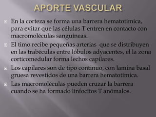  En la corteza se forma una barrera hematotimica,
para evitar que las células T entren en contacto con
macromoléculas sanguíneas.
 El timo recibe pequeñas arterias que se distribuyen
en las trabéculas entre lóbulos adyacentes, el la zona
corticomedular forma lechos capilares.
 Los capilares son de tipo continuo, con lamina basal
gruesa revestidos de una barrera hematotimica.
 Las macromoléculas pueden cruzar la barrera
cuando se ha formado linfocitos T anómalos.
 