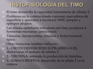  El timo desarrolla la capacidad inmunitaria de células T.
 Proliferan en la corteza donde expresan marcadores de
superficie y aprenden a reconocer MHC propias y
epitopos propios.
 Las células epiteliares reticulares del timo producen 4
hormonas necesarias (paracrinas):
 Timosina, timopoyetina, timulina y factor humoral
típico.
 Otras hormonas también influyen:
 1.- CROTICOESTEROIDES SUPRARRENALES:
disminuyen el numero de células T.
 2.- TIROXINA: estimula la producción de timulina.
 3.- SOMATOROPINA: desarrollo de la célula T en la
corteza.
 