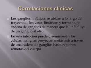  Los ganglios linfáticos se ubican a lo largo del
trayecto de los vasos linfáticos y forman una
cadena de ganglios de manera que la linfa fluye
de un ganglio al otro
 En una infección puede diseminarse y las
celulas malignas proyectan metástasis a través
de una cadena de ganglios hasta regiones
remotas del cuerpo
 