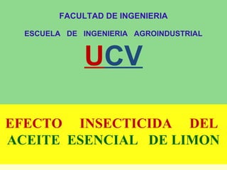 EFECTO INSECTICIDA DEL
ACEITE ESENCIAL DE LIMON
FACULTAD DE INGENIERIA
ESCUELA DE INGENIERIA AGROINDUSTRIAL
UCV
 