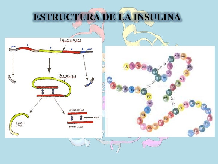 Exposicion insulina y_glucagon Exposicion insulina y_glucagon