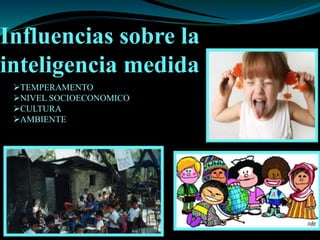 Influencias sobre la
inteligencia medida
TEMPERAMENTO
NIVEL SOCIOECONOMICO
CULTURA
AMBIENTE
 