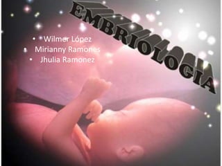 • Wilmer López
• Mirianny Ramones
• Jhulia Ramonez
 