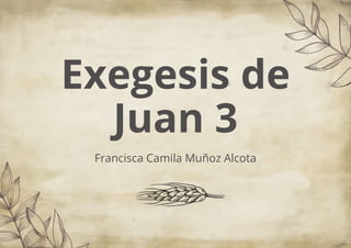 Exegesis de
Juan 3
Francisca Camila Muñoz Alcota
 