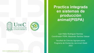 Practica integrada
en sistemas de
producción
animal(PISPA)
Juan Pablo Rodríguez Ramírez
Coordinador PISPA: Alexander Ramírez Salazar
Facultad de Ciencias Agropecuarias
Programa de Zootecnia, seccional Ubaté
2022
 