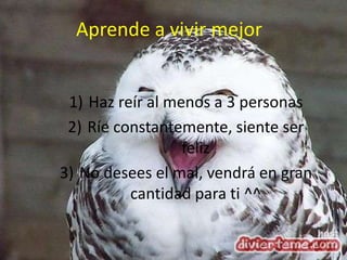 Aprende a vivir mejor Haz reír al menos a 3 personas Ríe constantemente, siente ser feliz No desees el mal, vendrá en gran cantidad para ti ^^ 