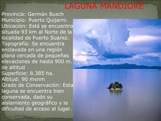 Provincia: Germán Busch Municipio: Puerto Quijarro Ubicación: Está se encuentra situada 93 km al Norte de la localidad de Puerto Suarez. Topografía: Se encuentra enclavada en una región plana cercada de pequeñas elevaciones de hasta 900 m. de altitud Superficie: 8.385 ha. Altitud: 90 msnm Grado de Conservación: Esta laguna se encuentra bien conservada, dado su aislamiento geográfico y la dificultad de acceso al lugar. LAGUNA MANDIORÉ 