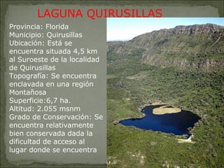 Provincia: Florida Municipio: Quirusillas Ubicación: Está se encuentra situada 4,5 km al Suroeste de la localidad de Quirusillas Topografía: Se encuentra enclavada en una región Montañosa  Superficie:6,7 ha. Altitud: 2.055 msnm Grado de Conservación: Se encuentra relativamente bien conservada dada la dificultad de acceso al lugar donde se encuentra LAGUNA QUIRUSILLAS 