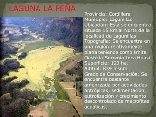   Provincia: Cordillera Municipio: Lagunillas Ubicación: Está se encuentra situada 15 km al Norte de la localidad de Lagunillas Topografía: Se encuentra en una región relativamente plana teniendo como límite Oeste la Serranía Inca Huasi  Superficie: 120 ha. Altitud: 839 msnm Grado de Conservación: Se encuentra bastante amenazada por actividades antrópicas, sedimentación, eutrofización y crecimiento descontrolado de macrofitas acuáticas.  LAGUNA LA PEÑA 