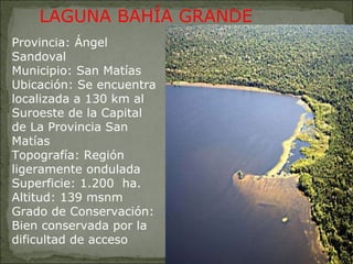 Provincia: Ángel Sandoval Municipio: San Matías Ubicación: Se encuentra localizada a 130 km al Suroeste de la Capital de La Provincia San Matías Topografía: Región ligeramente ondulada Superficie: 1.200  ha. Altitud: 139 msnm Grado de Conservación: Bien conservada por la dificultad de acceso LAGUNA BAHÍA GRANDE 