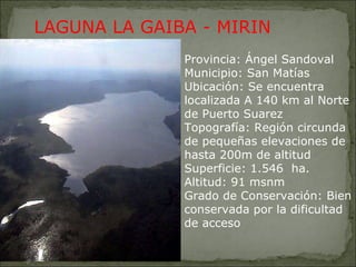 Provincia: Ángel Sandoval Municipio: San Matías Ubicación: Se encuentra localizada A 140 km al Norte de Puerto Suarez Topografía: Región circunda de pequeñas elevaciones de hasta 200m de altitud Superficie: 1.546  ha. Altitud: 91 msnm Grado de Conservación: Bien conservada por la dificultad de acceso LAGUNA LA GAIBA - MIRIN 