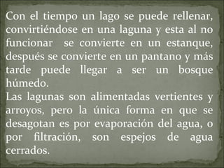 Con el tiempo un lago se puede rellenar, convirtiéndose en una laguna y esta al no funcionar  se convierte en un estanque, después se convierte en un pantano y más tarde puede llegar a ser un bosque húmedo. Las lagunas son alimentadas vertientes y arroyos, pero la única forma en que se desagotan es por evaporación del agua, o por filtración, son espejos de agua cerrados. 