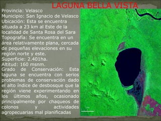 Provincia: Velasco Municipio: San Ignacio de Velasco Ubicación: Esta se encuentra situada a 23 km al Este de la localidad de Santa Rosa del Sara Topografía: Se encuentra en un área relativamente plana, cercada de pequeñas elevaciones en su región norte y este. Superficie: 2.401ha. Altitud: 160 msnm. Grado de Conservación: Esta laguna se encuentra con serios problemas de conservación dado el alto índice de desbosque que la región viene experimentando en los últimos años, ocasionado principalmente por chaqueos de colonos y actividades agropecuarias mal planificadas   