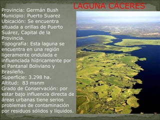 Provincia: Germán Bush Municipio: Puerto Suarez         Ubicación: Se encuentra situada a orillas de Puerto Suárez, Capital de la Provincia.  Topografía: Esta laguna se encuentra en una región ligeramente ondulada e influenciada hídricamente por el Pantanal Boliviano y Brasileño. Superficie: 3.298 ha. Altitud:  83 msnm Grado de Conservación: por estar bajo influencia directa de áreas urbanas tiene serios problemas de contaminación por residuos sólidos y líquidos. LAGUNA CÁCERES 